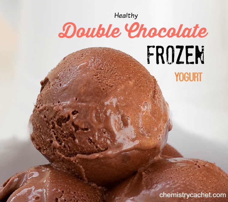 Double Chocolate Frozen Yogurt